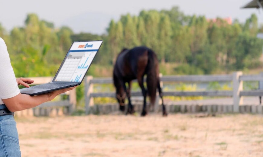 Mecalux Boosts Canagri Efficiency with Easy WMS