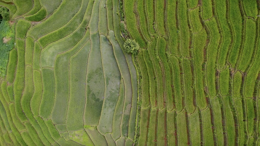 Regrow, Green Carbon Partner to Integrate DNDC Model in Agreen Platform