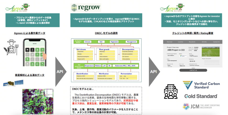 Regrow, Green Carbon Partner to Integrate DNDC Model in Agreen Platform