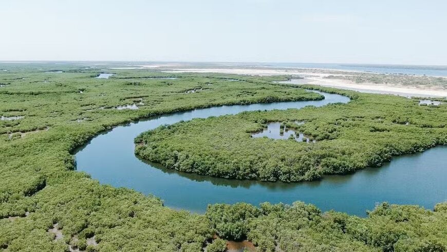 LG Sonic Combats Algal Blooms with Tech & Nature