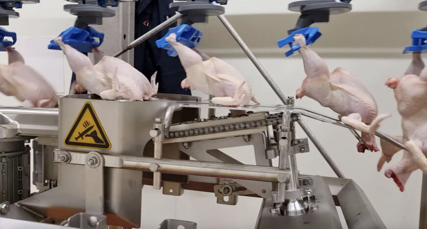 Marel Enhances Poultry Neck Processing with Versatile Global Solutions