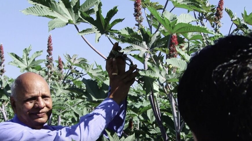 Arkema launches Fund to support castor farming communities in India