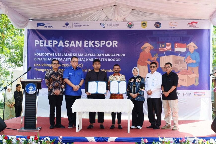 Desa Sejahtera Astra Bogor Exports 10 Tons of Sweet Potatoes to Malaysia and Singapore