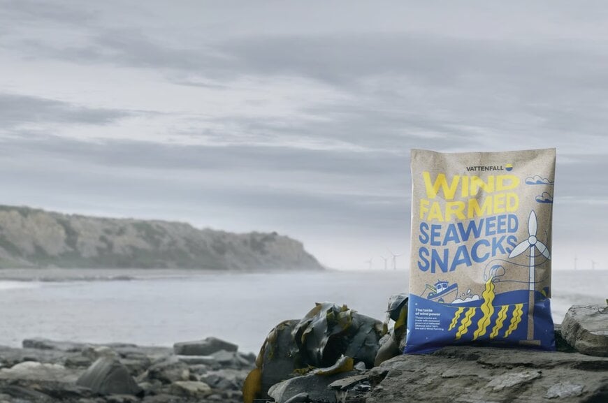 Vattenfall's new project uses offshore wind farms to grow seaweed for food production