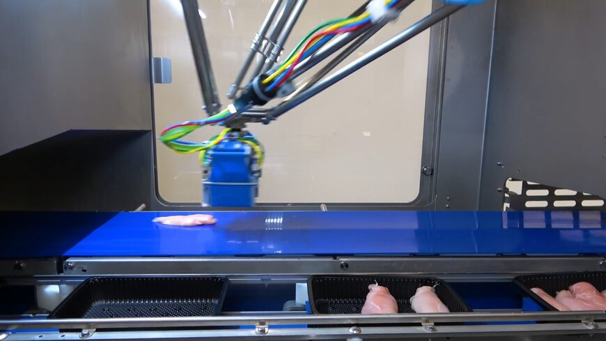 Marel&rsquo;s End-of-Line Solutions: Streamlining Food Processing Efficiency 