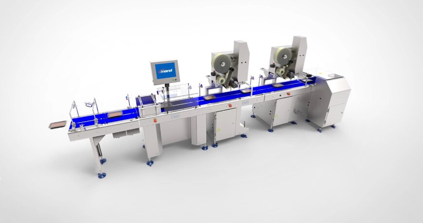 Marel&rsquo;s End-of-Line Solutions: Streamlining Food Processing Efficiency 