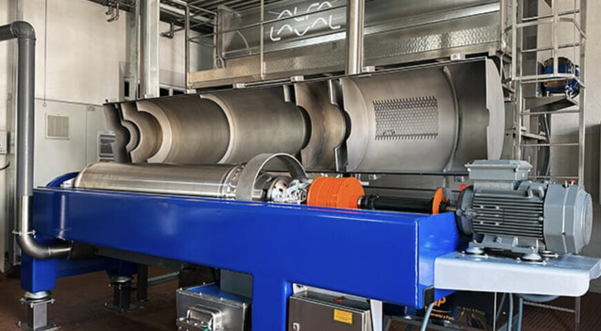 Almazara portuguesa cuadruplica su producci&oacute;n de aceite de oliva virgen extra