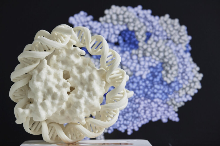 Fraunhofer Develops Non-Invasive Pancreatic Cancer Detection Using NGS Technology