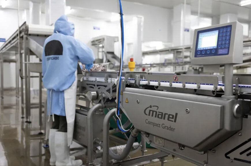 Per&uacute; Frost optimiza su eficiencia con tecnolog&iacute;a de JBT Marel 