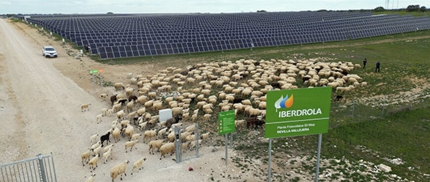 Iberdrola and Ingeteam to hybridise existing solar plants with new storage systems