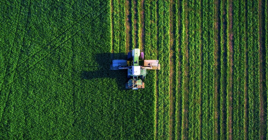 NEC and ClimateAi Develop Conceptual Model to Promote Climate Change Adaptation in Agriculture