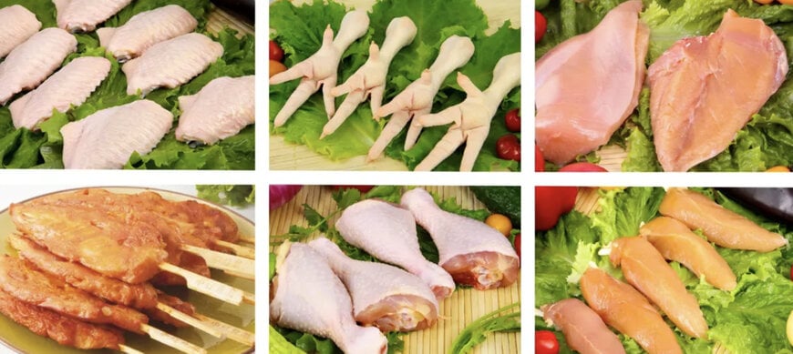 JBT Marel Equips Zhonghong Sanrong’s Fifth 15,000 BPH Poultry Plant