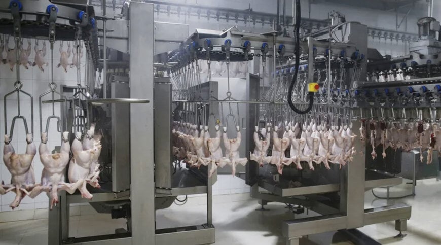 JBT Marel Equips Zhonghong Sanrong’s Fifth 15,000 BPH Poultry Plant