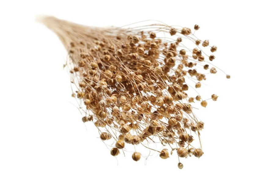 BMW pioneers natural fibre composites in series production