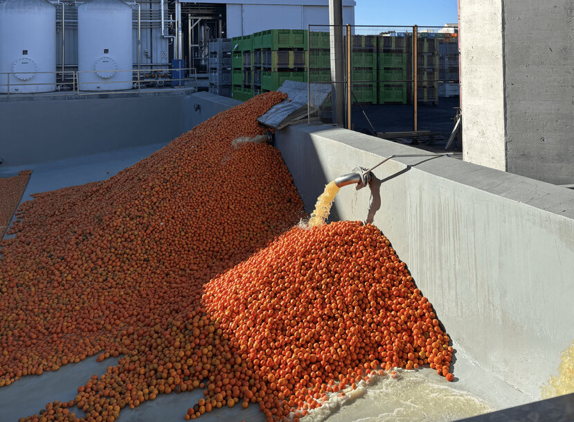 Alfa Laval Powers Fruit Tech Natural&rsquo;s Citrus Oil Extraction Success