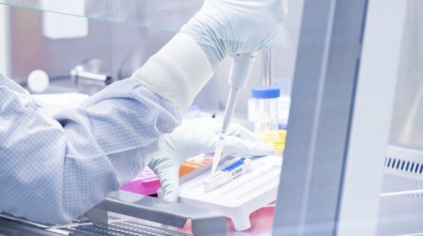 Fraunhofer treibt CAR-T-Zelltherapie zur Behandlung solider Tumore voran