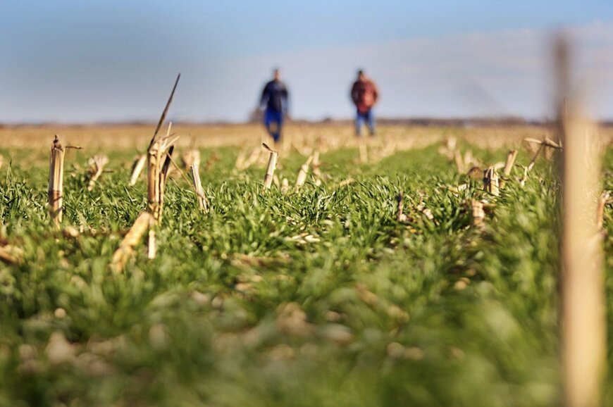 ADM & Bayer Announce New Regenerative Agriculture Collaboration