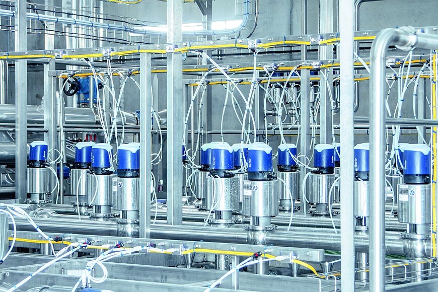 L’usine de production de lait d’avoine mise sur AS-i et IO-Link
