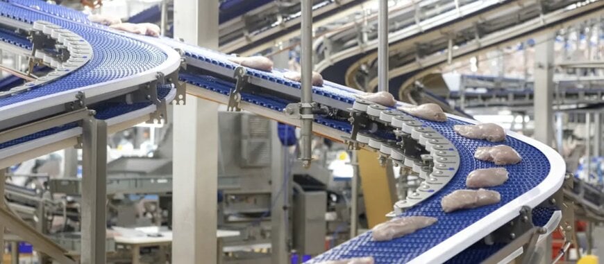 Marel's EnduraBelt meets all poultry transport requirements