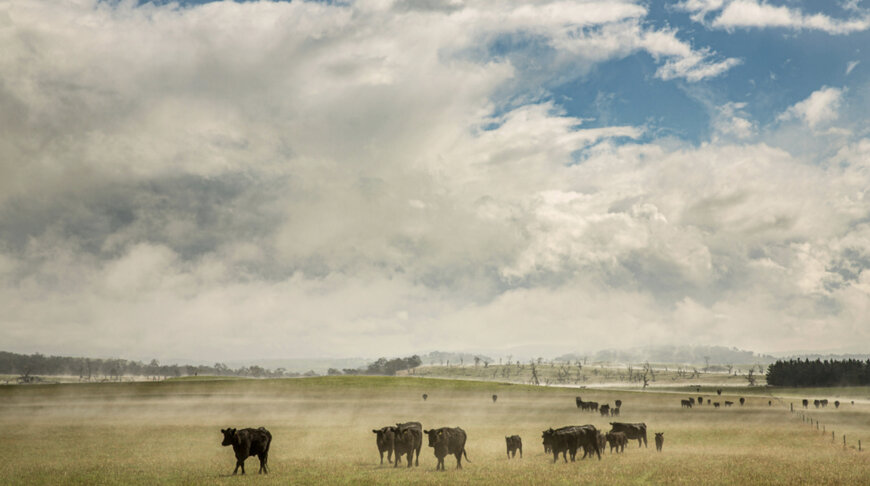 Farmlandgrab reports: ANZ highlights $500bn shift in global agriculture investment strategies