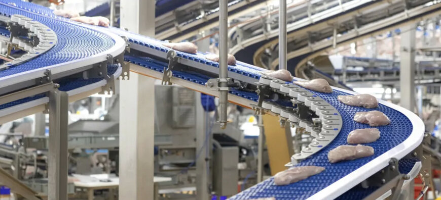 La bande transporteuse EnduraBelt de Marel répond à toutes les exigences de transport de volaille