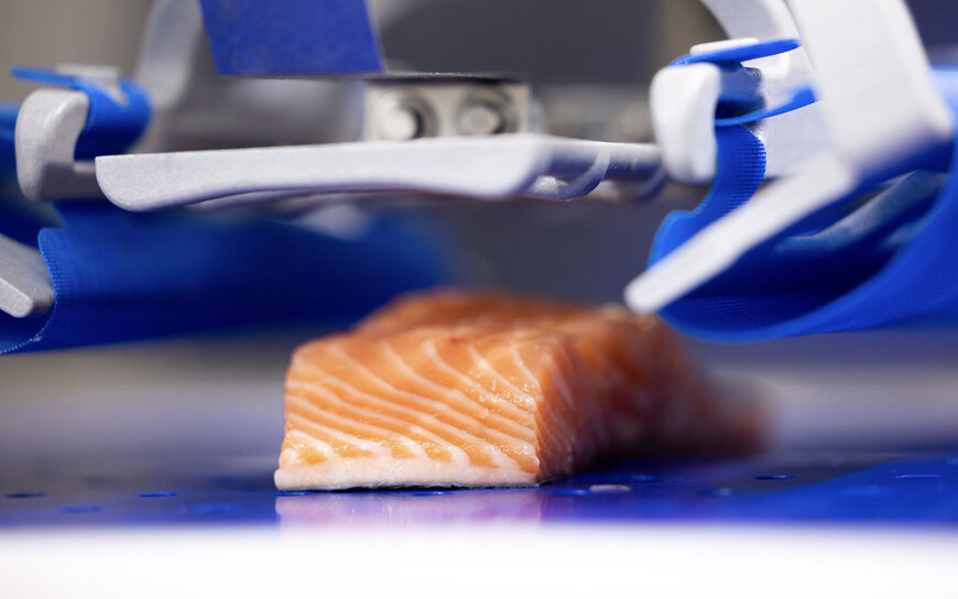 JBT Marel Launches RoboPacker for Salmon Processing | Food Process ...