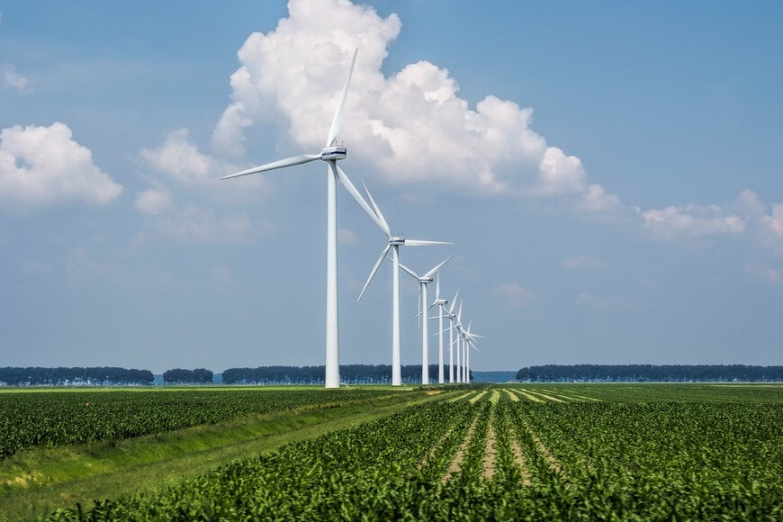 Trina Storage Completes 50MW/100MWh Strübbel Battery Project in Germany
