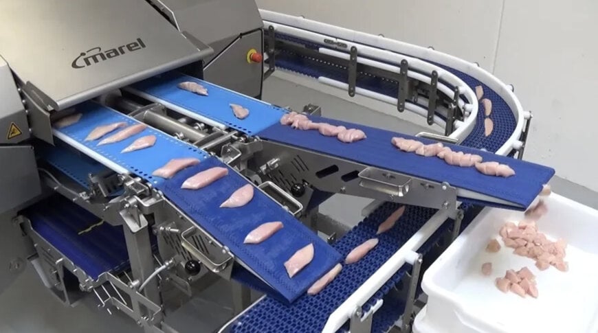 JBT Marel aprimora processamento de aves com jatos e lâminas