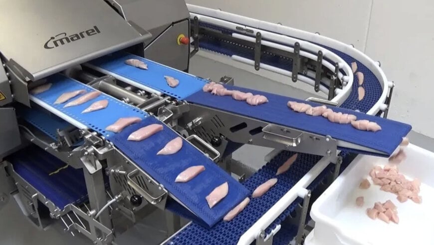 Marel : Portionnement précis pour plus de valeur