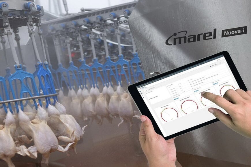 Marel's intelligent systems revolutionize poultry processing
