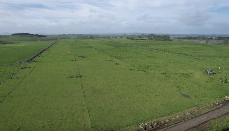 Genesis Energy advances 271MWp Rangiriri solar farm, expanding renewable portfolio