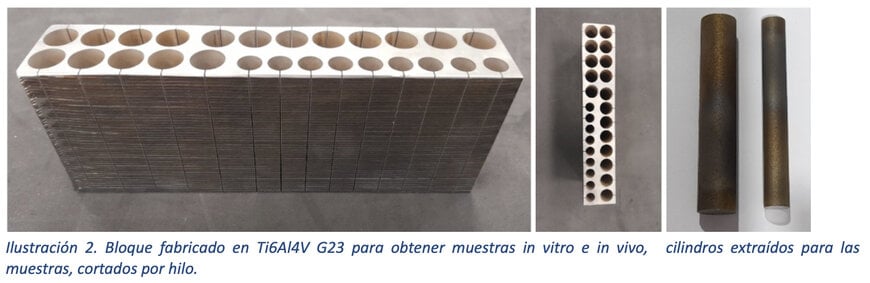 ATILA Project Advances Meltio Technology for Titanium Biomedical Implants