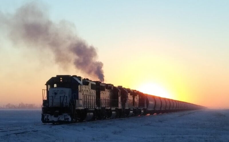 Don’t get left out in the COLD!