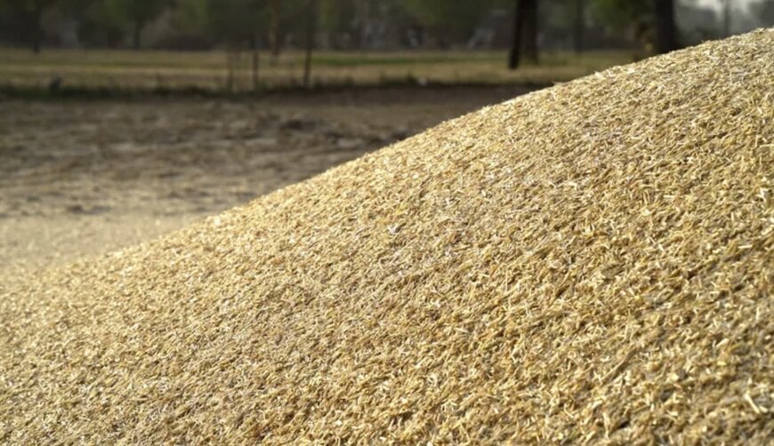 Transforming Crop Waste into Wealth: The Future of Agricultural Residues