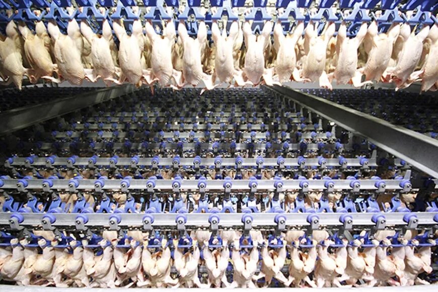 JBT Marel bleibt führend in der Luftkühlungstechnologie