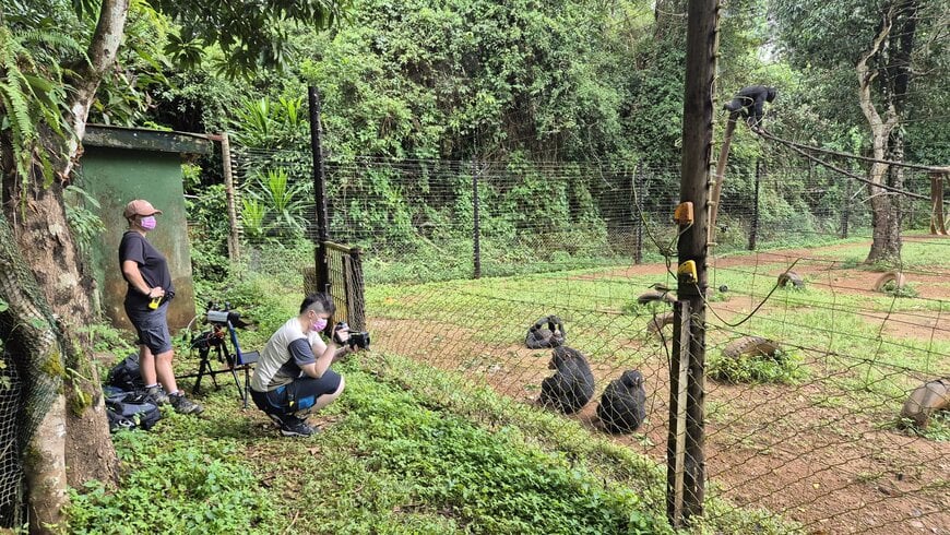 LES &Eacute;COLOGISTES UTILISENT LA TEMP&Eacute;RATURE MESUR&Eacute;E PAR LES CAM&Eacute;RAS THERMIQUES POUR SURVEILLER LE STRESS