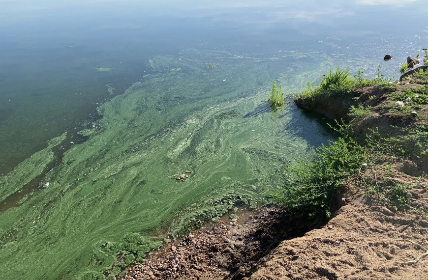 LG Sonic&rsquo;s Guide to Effective Lake Algae Control