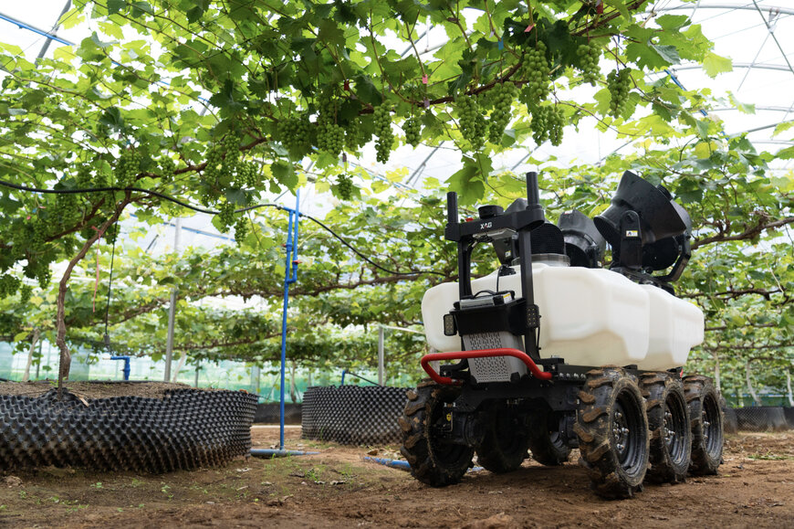 Why the XAG R Series Rover Outperforms Traditional Equipment in Specialty Crop Automation