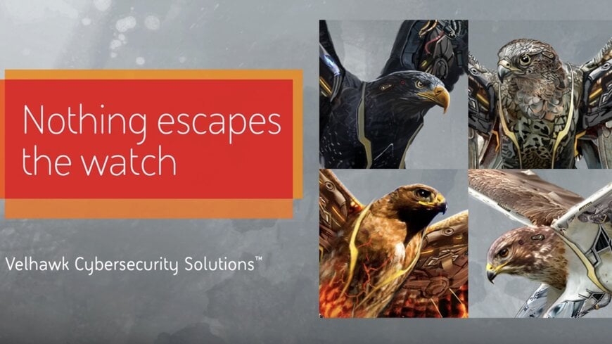 BAE Systems launches Velhawk Cybersecurity Solutions