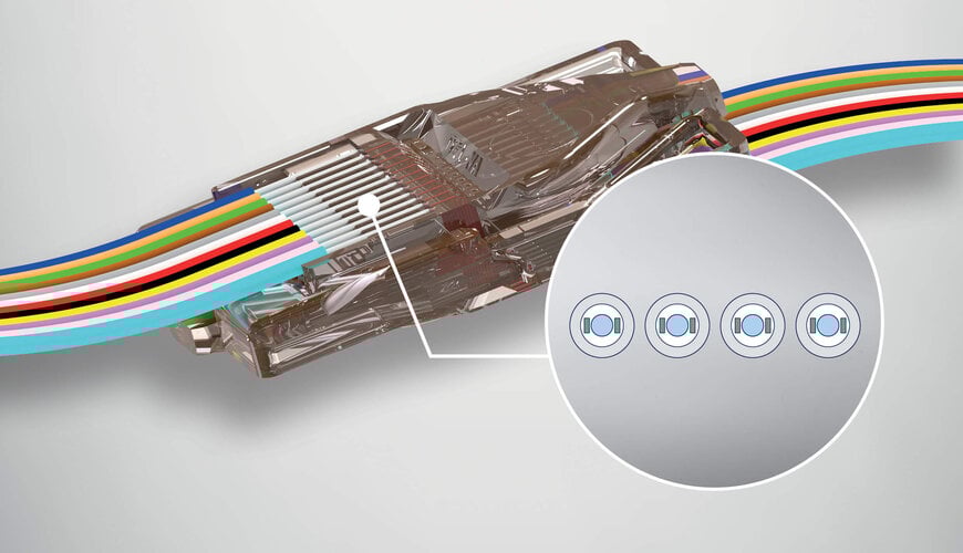 PANDA Fibre Connectors for Polarization-Critical Networks