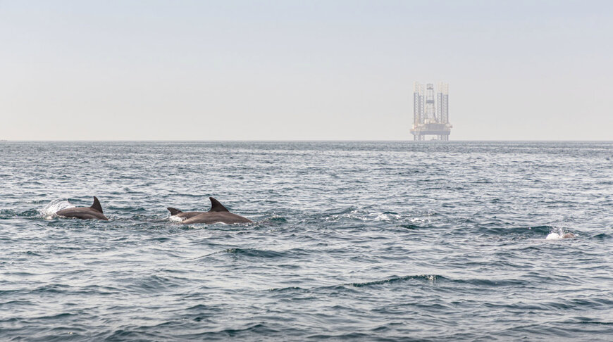 Tetra Tech Introduces Neptune AI for Offshore Marine Monitoring