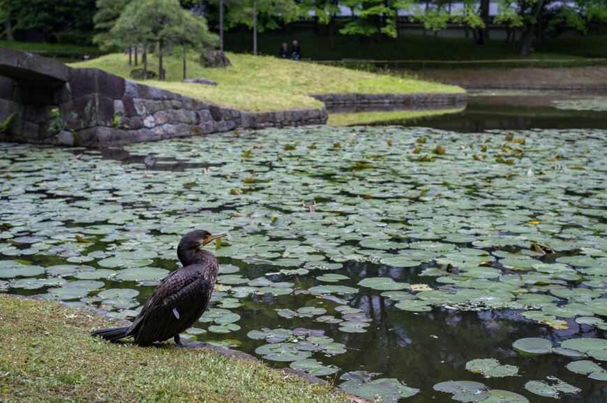 LG Sonic Enables Real-Time Water Quality Monitoring for Lakes