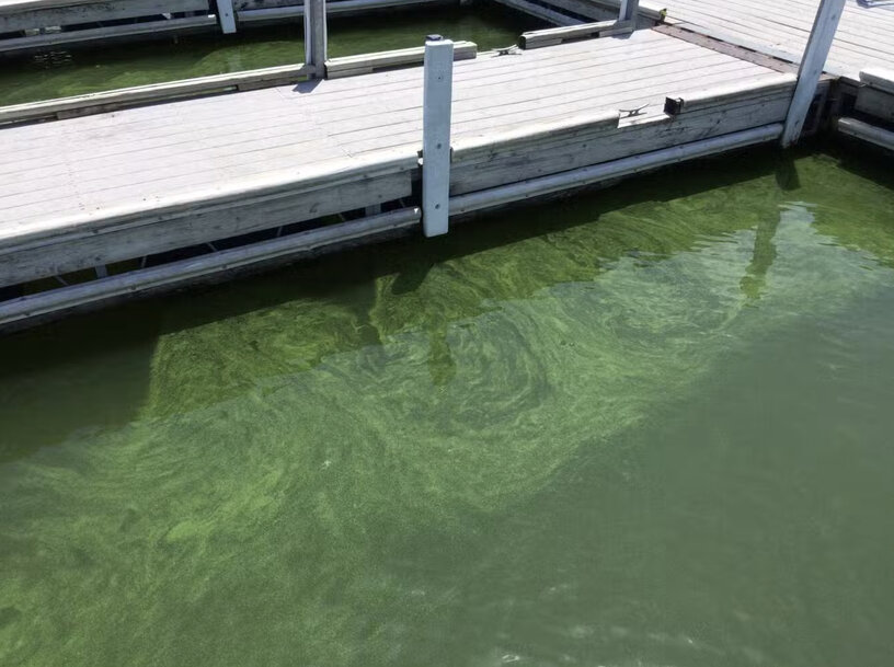 LG Sonic Enables Real-Time Water Quality Monitoring for Lakes