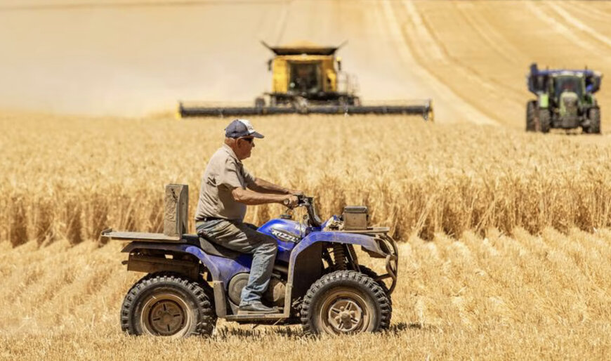 Australian farmland investment accelerates as agriculture nears $100bn