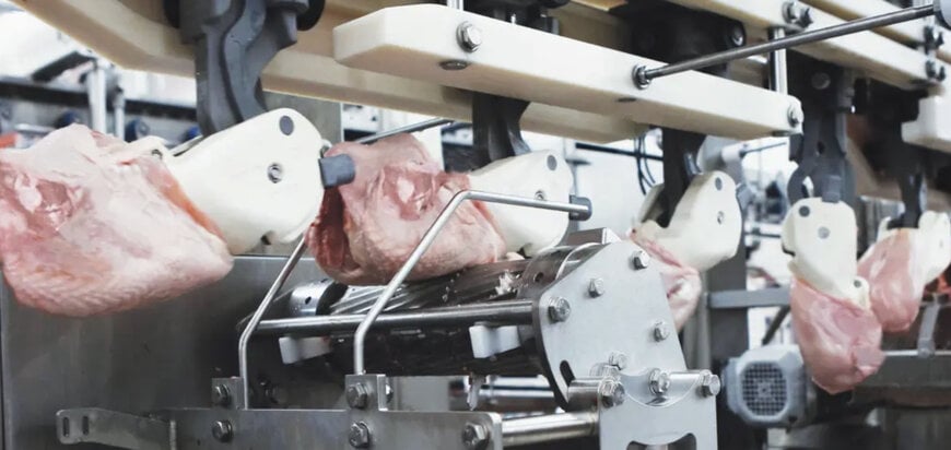 Sistema compacto automatiza desossa de peitos de frango