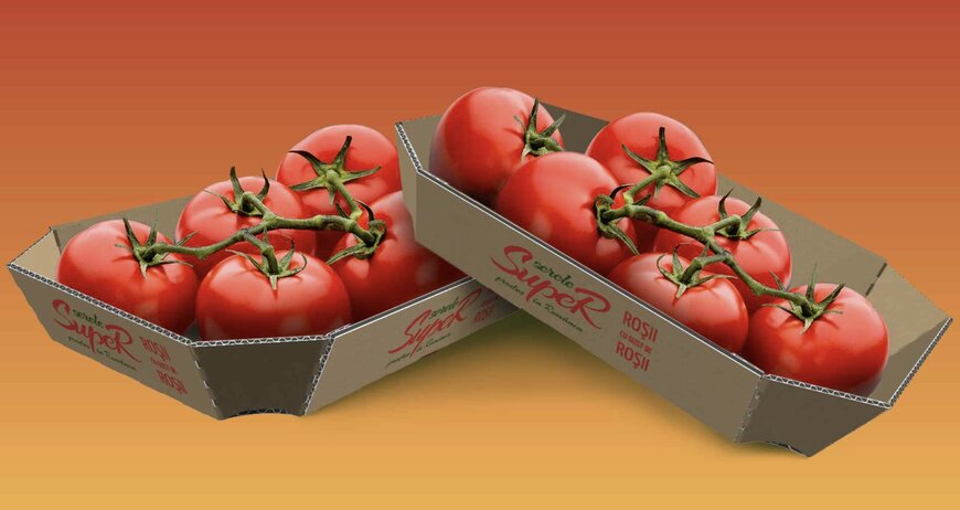 DS Smith replaces 10 million plastic tomato packages in Romania with recyclable cardboard