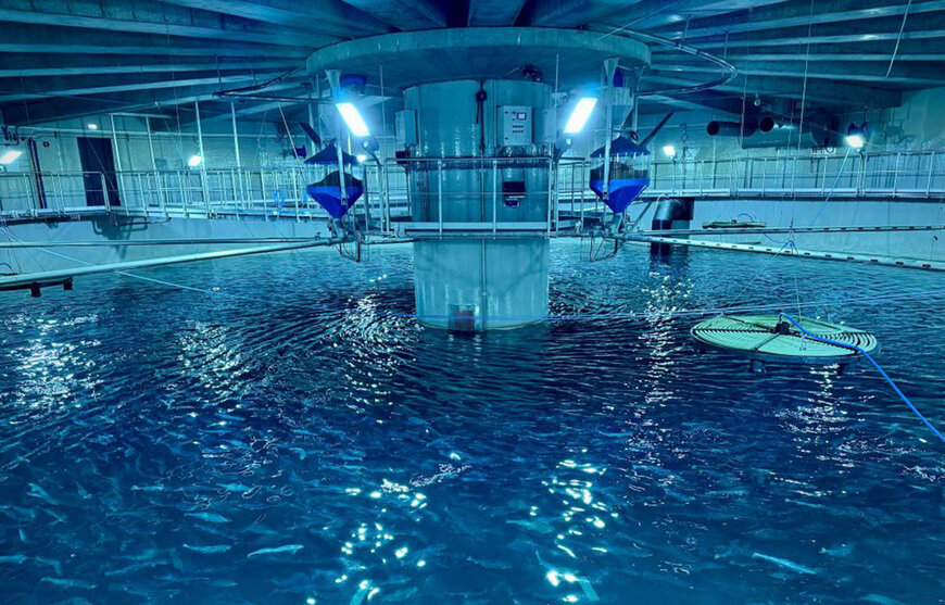 Land-Based Aquaculture Reshapes Salmon Supply