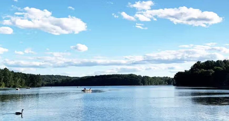 Preventing harmful algal blooms to protect freshwater supplies