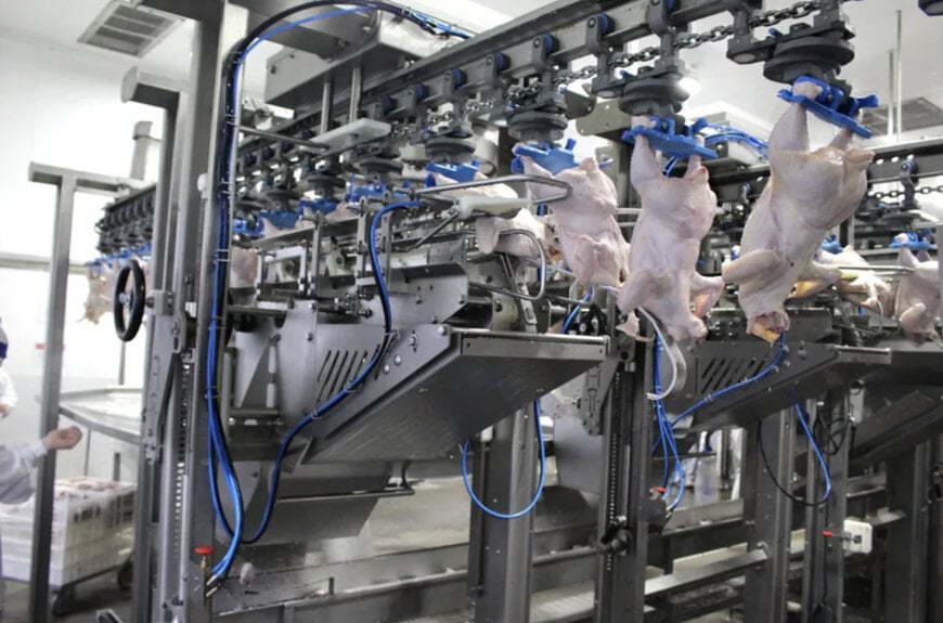 Zanchetta moderniza o processamento av&iacute;cola com sistemas da JBT Marel