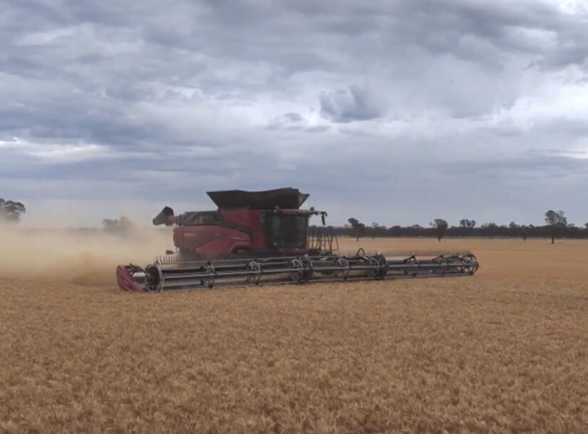 Case IH AF10 combines increased harvest capacity